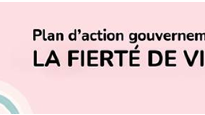 CAPACITÉ À CONDUIRE DE LA PERSONNE AÎNÉE: PROJET D'ADAPTATION ET DE DÉPLOIEMENT PROVINCIAL