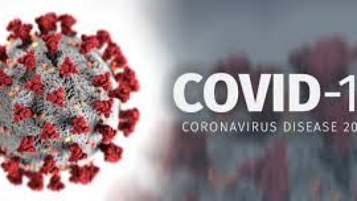 Conseil et informations (Covid-19)
