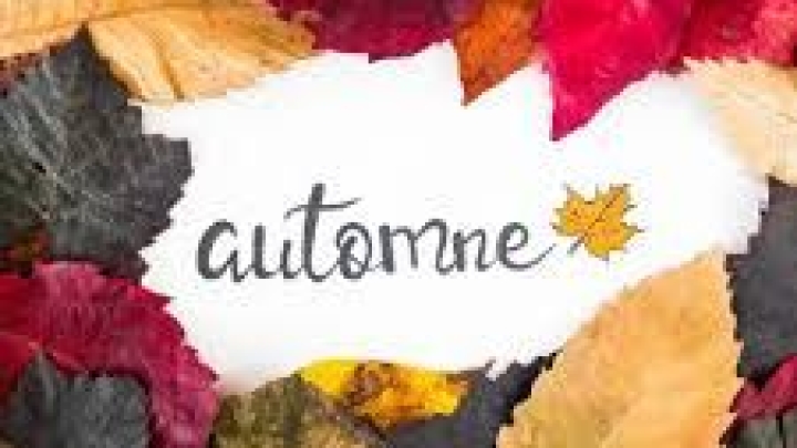 Cueillette de feuilles automnales
