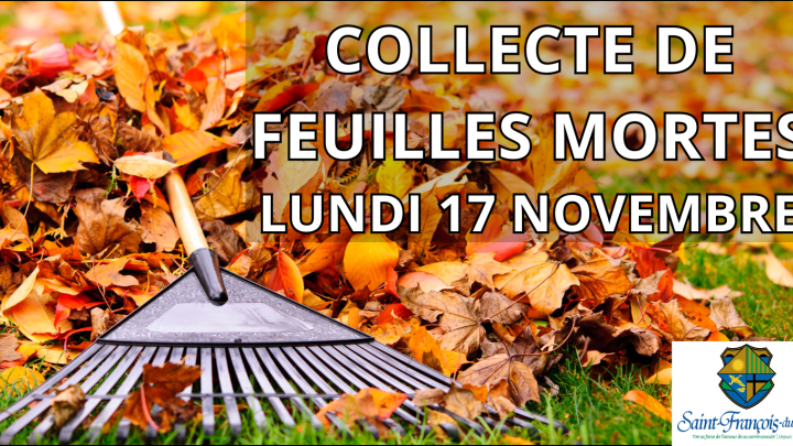 COLLECTE DE FEUILLES MORTES | LUNDI 17 NOVEMBRE 2025