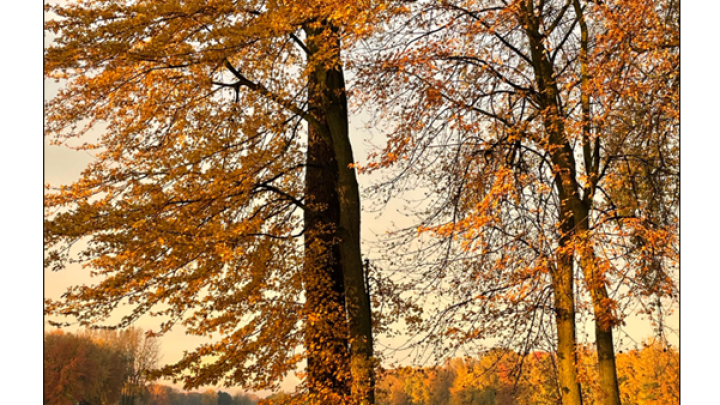 Le Francilois, édition septembre-octobre 2024, est maintenant disponible sur notre site internet