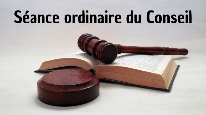 SÉANCE ORDINAIRE DU CONSEIL -Lundi 17 novembre 2025.