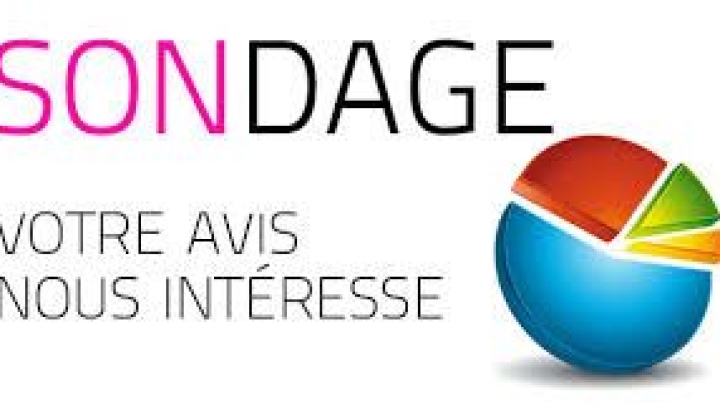 Sondage - démarche de revitalisation