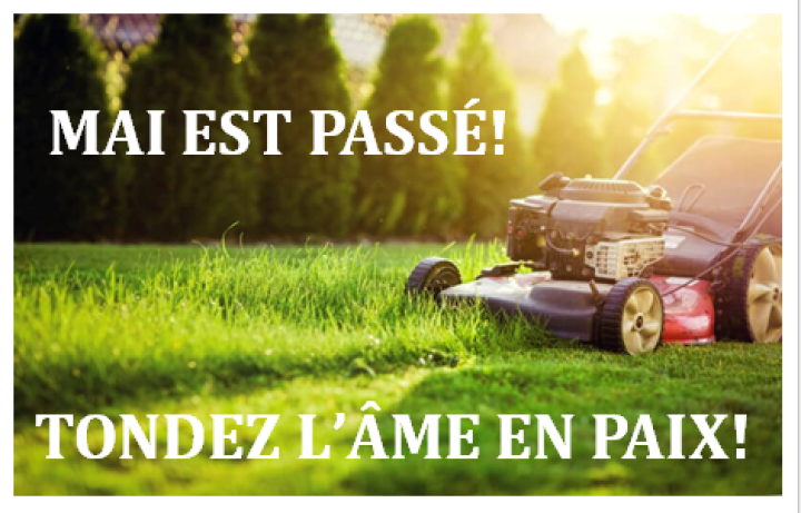 VOUS POUVEZ TONDRE VORE PELOUSE L'ÂME EN PAIX