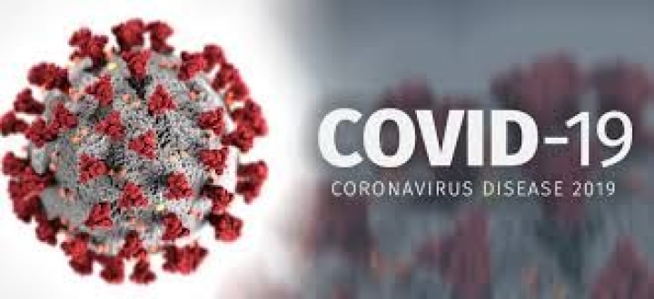 Conseil et informations (Covid-19)