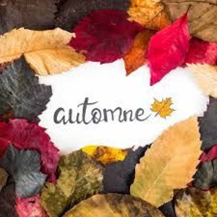 Cueillette de feuilles automnales