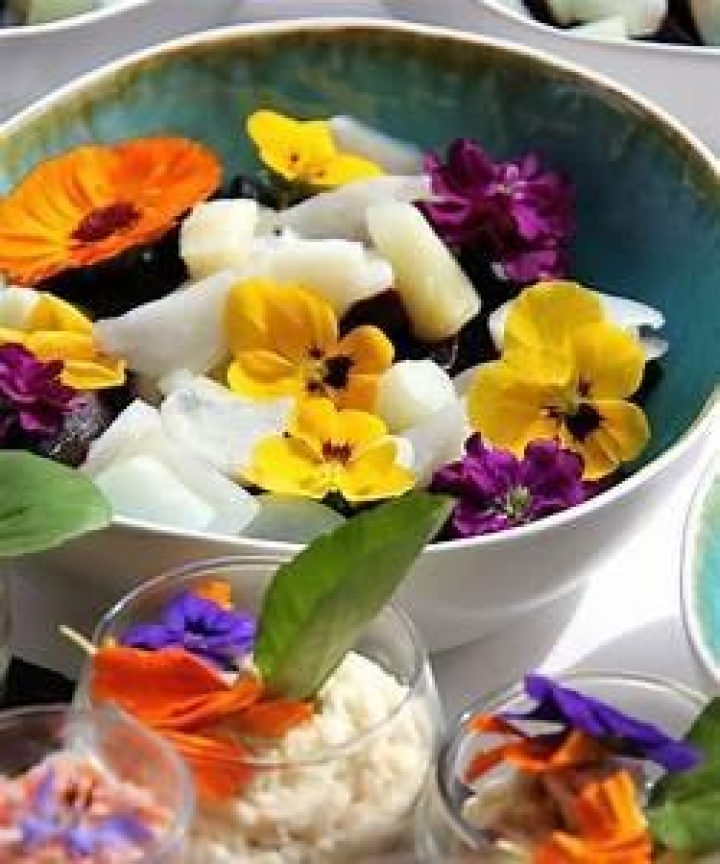 SAMEDI 3 JUIN - ATELIER DE FLEURS COMESTIBLES ET CULTURE DE POUSSES