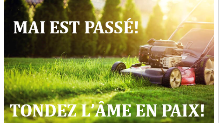 VOUS POUVEZ TONDRE VORE PELOUSE L'ÂME EN PAIX