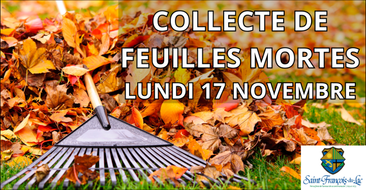 COLLECTE DE FEUILLES MORTES | LUNDI 17 NOVEMBRE 2025