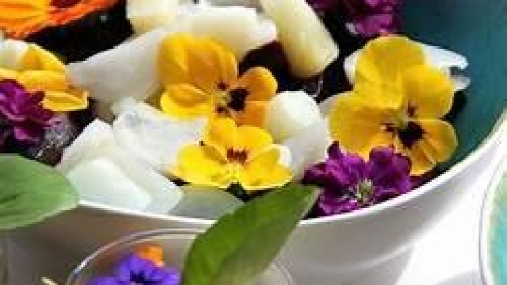 SAMEDI 3 JUIN - ATELIER DE FLEURS COMESTIBLES ET CULTURE DE POUSSES