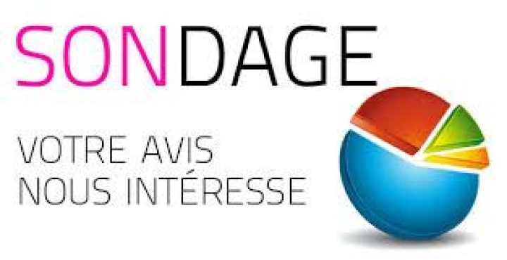 Sondage - démarche de revitalisation
